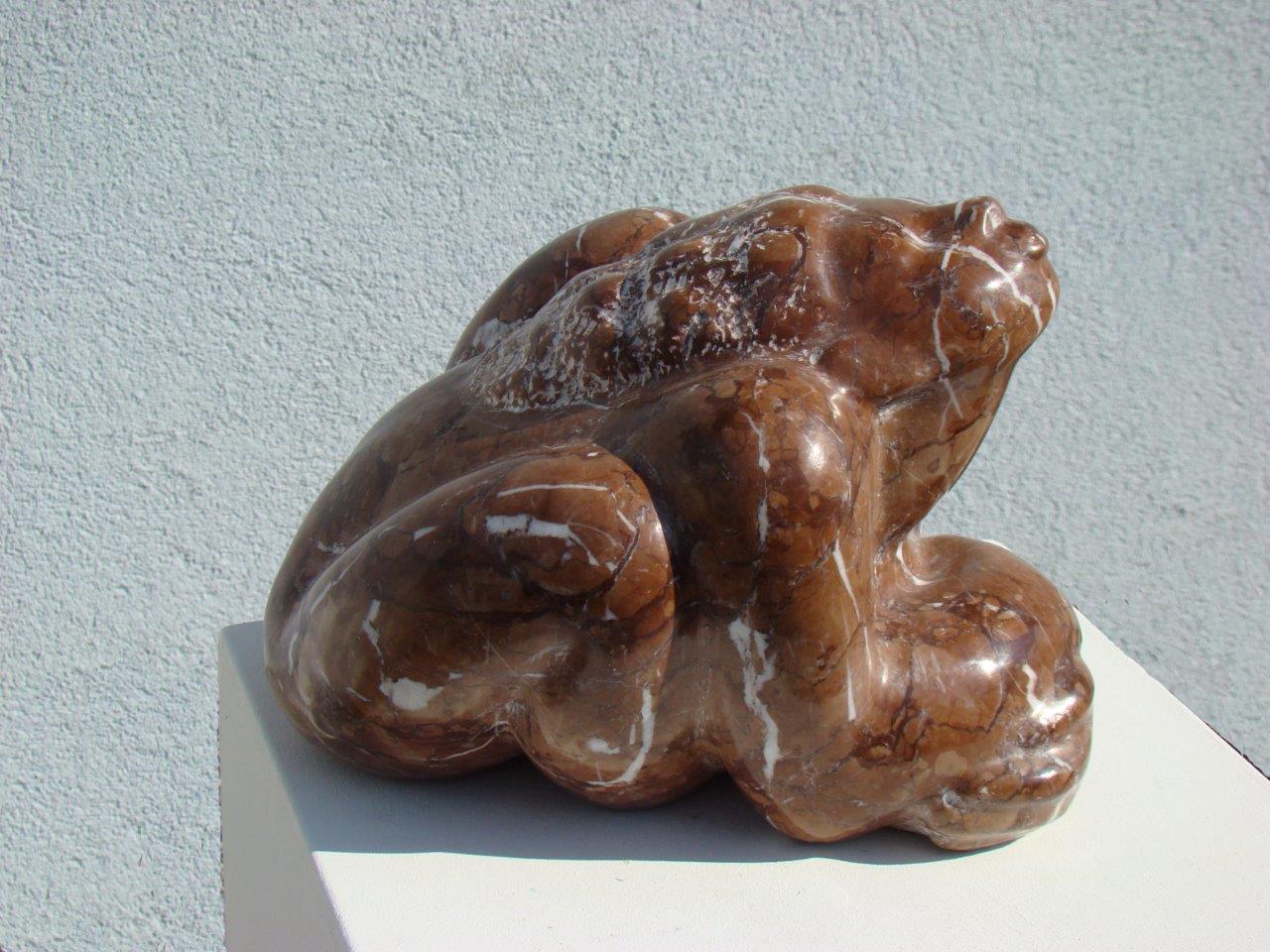 Froschfrau - Destan Gashi